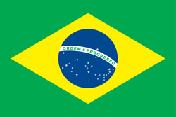 巴西队旗