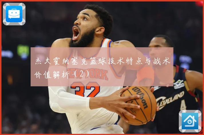 杰夫霍纳塞克篮球技术特点与战术价值解析（2）