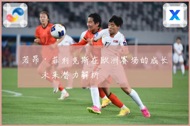 若昂·菲利克斯在欧洲赛场的成长与未来潜力解析