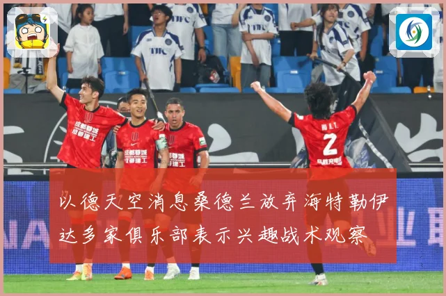 以德天空消息桑德兰放弃海特勒伊达多家俱乐部表示兴趣战术观察