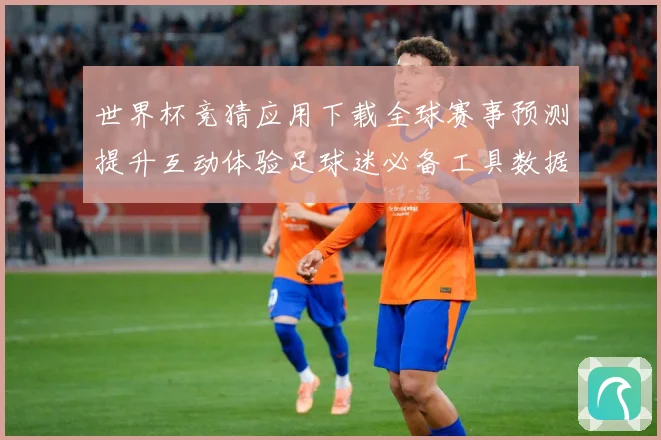 世界杯竞猜应用下载全球赛事预测提升互动体验足球迷必备工具数据研判