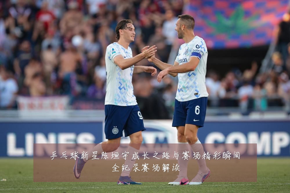 乒乓球新星陈垣宇成长之路与赛场精彩瞬间全纪录赛场解读
