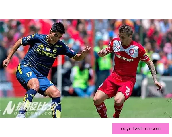 欧亿最新平台入口全解析及安全使用指南详细说明